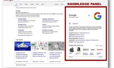 Google Knowledge Panel