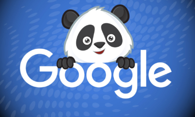 Google Core and Panda algorithm