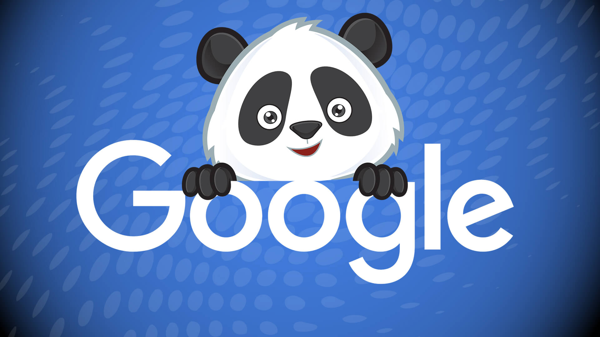 Google Core and Panda algorithm