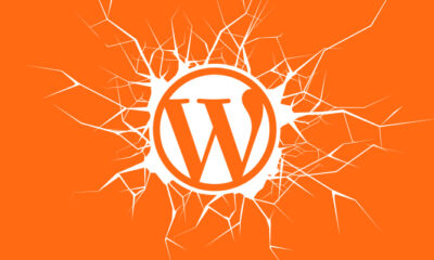 WordPress Plugin
